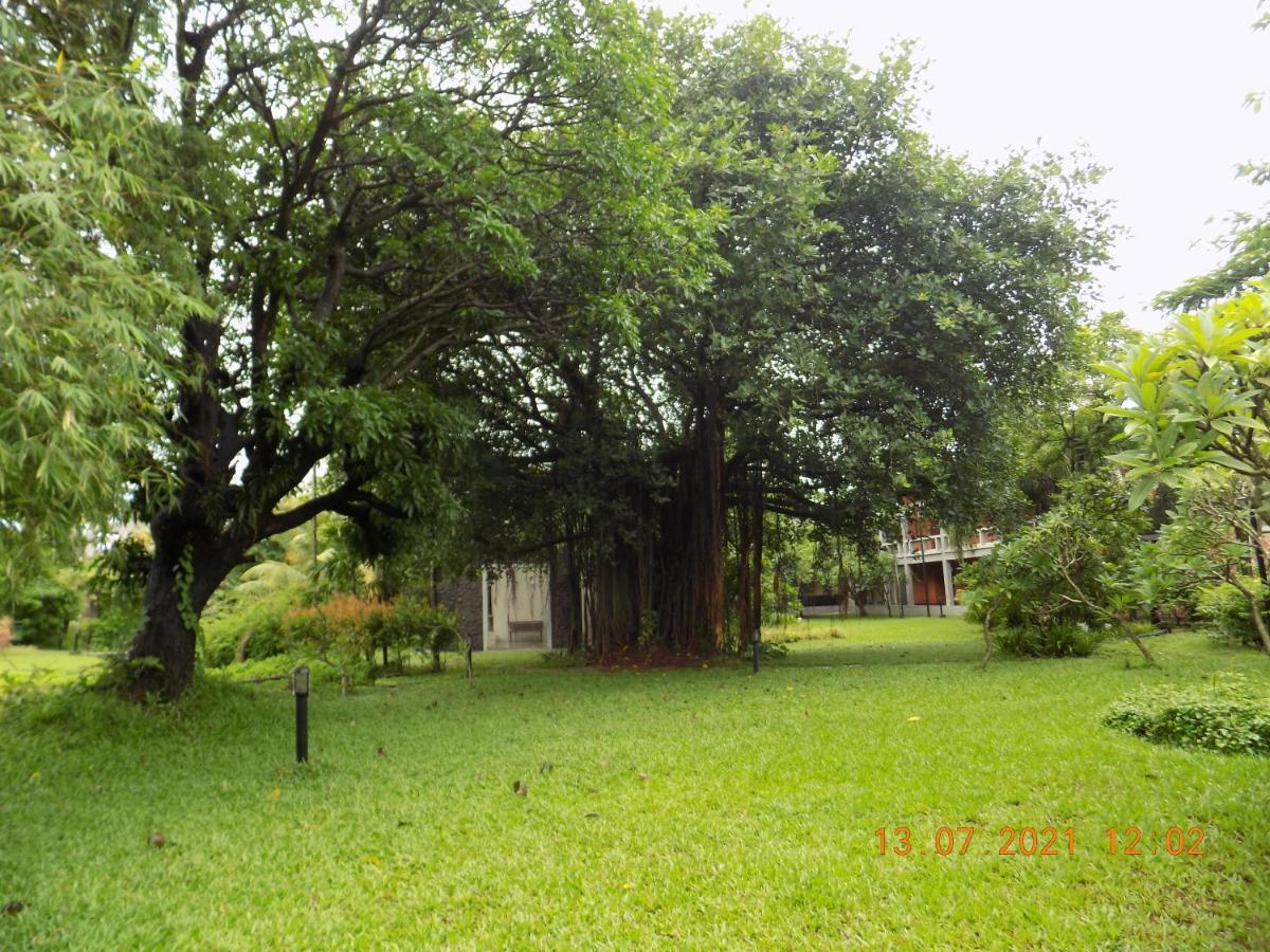 Fountainhead Hotel Alibag Bagian luar foto